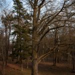 Road Trip - Manastirile din Moldova si Bucovina 14