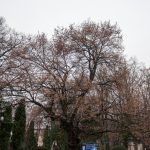 Road Trip - Manastirile din Moldova si Bucovina 72