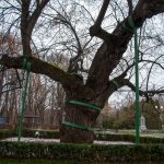 Road Trip - Manastirile din Moldova si Bucovina 73