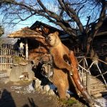 Road Trip - Manastirile din Moldova si Bucovina 95