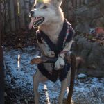 Road Trip - Manastirile din Moldova si Bucovina 98