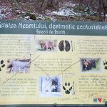 Road Trip - Manastirile din Moldova si Bucovina 124