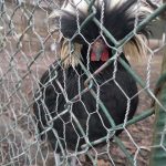 Road Trip - Manastirile din Moldova si Bucovina 128