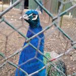 Road Trip - Manastirile din Moldova si Bucovina 127