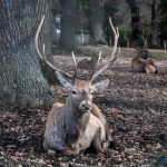 Road Trip - Manastirile din Moldova si Bucovina 129
