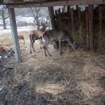 Road Trip - Manastirile din Moldova si Bucovina 130