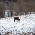 Road Trip - Manastirile din Moldova si Bucovina 131