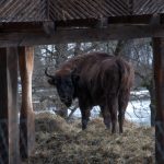 Road Trip - Manastirile din Moldova si Bucovina 133