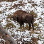 Road Trip - Manastirile din Moldova si Bucovina 136