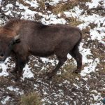 Road Trip - Manastirile din Moldova si Bucovina 138