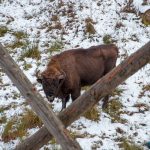 Road Trip - Manastirile din Moldova si Bucovina 139