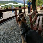 Road Trip - Albota 4