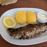 Road Trip - Albota 5