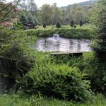 Road Trip - Albota 9