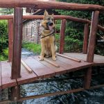 Road Trip - Albota 15