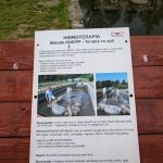 Road Trip - Albota 14