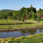 Road Trip - Albota 10