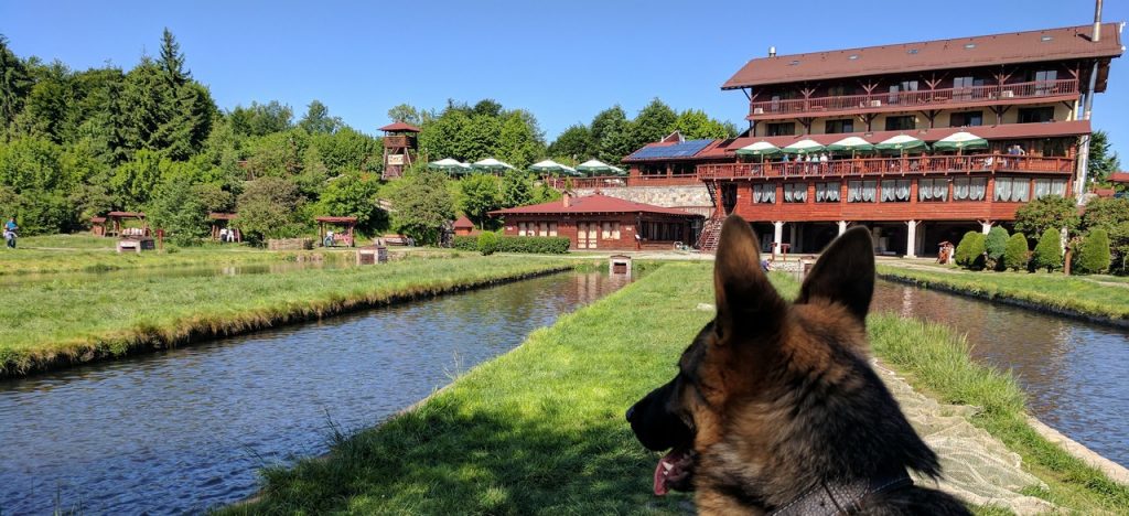 Road Trip - Albota 68