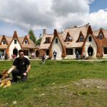 Road Trip - Albota 18