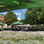 Road Trip - Albota 20