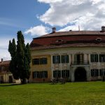 Road Trip - Albota 22