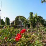 Road Trip - Timisoara si Cazanele Dunarii 27